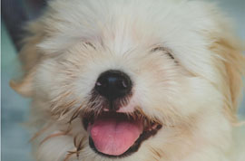 3 Ways to Make yourself Happier and more Positive in Life